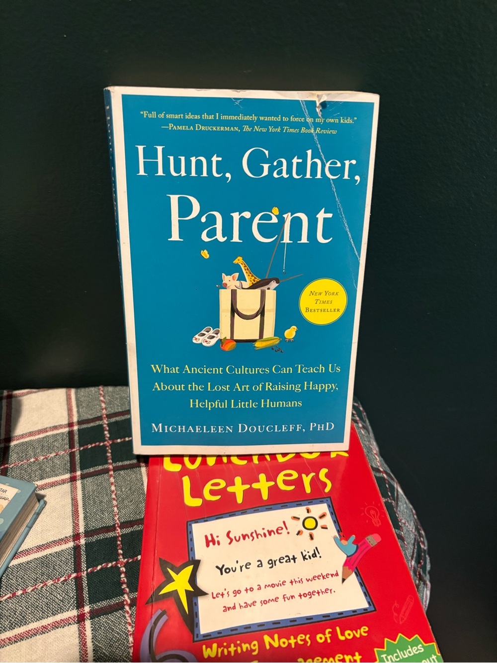 Parenting Books-Hunt, Gather, Parent by Michaeleen Doucleff and Lunchbox Letters